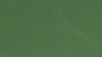 Carlos Alcaraz, tenista español.