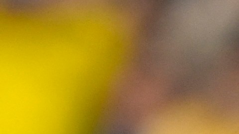 Enner Valencia muestra su decepción luego de fallar su penal ante Uruguay.