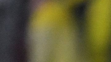 Ecuador perdería más puntos en las Eliminatorias tras demanda de Gustavo Alfaro ante el TAS