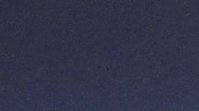 Kim Jong Un y el mandatario Vladimir Putin.