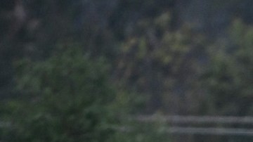 Fiscalía de Italia dio conocer detalles del caso de un avión militar que se estrelló y mató a una niña