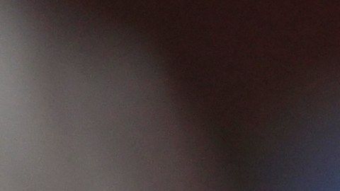 Shohei Ohtani, jugador de Los Ángeles Angels.