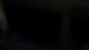 Novak DJokovic posa para las cámaras con su trofeo del US Open y la camisa referencial a Kobe Bryant.