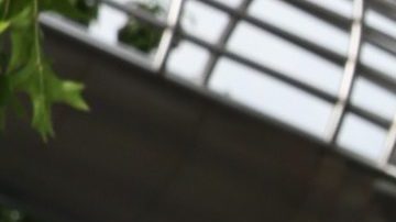 Olivia Wilde y su exesposo compraron esta propiedad en 2019.