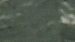 "No se puede confiar en el diablo": cinco claves del histórico discurso de Volodymyr Zelensky en la Asamblea General de la ONU