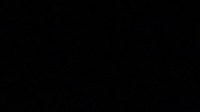 Atlanta Brave celebrando su título divisional.