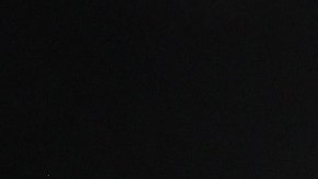 Minnesota Twins celebrando el título divisional.