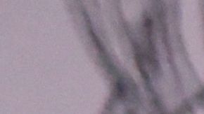 US-POLITICS-JUSTICE-MENENDEZ