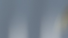 Donald Trump dijo en una tienda de armas en Carolina del Sur que quería comprar una semiautomática: ¿por qué lo hizo?