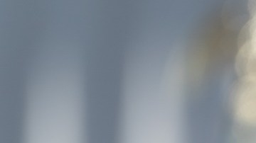 Donald Trump dijo en una tienda de armas en Carolina del Sur que quería comprar una semiautomática: ¿por qué lo hizo?