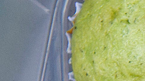 Los menores consumieron muffins de cannabis. (Imagen de referencia)