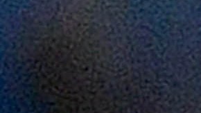 Provedel (C) es felicitado por todos sus compañeros luego de marcarle al Atlético de Madrid.