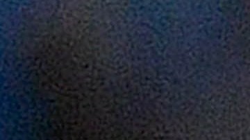 Provedel (C) es felicitado por todos sus compañeros luego de marcarle al Atlético de Madrid.