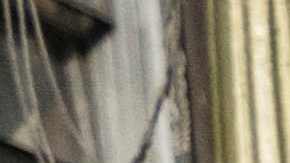 Autoridades peruanas detuvieron al responsable en Lima.