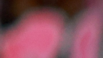 El delantero argentino afirmó que su fiel mascota se encuentra en la ciudad de Barcelona por su edad.