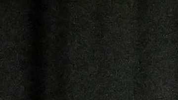 Etienne Vaessen es retirado por el cuerpo médico local luego de la suspensión del encuentro entre Waalwijk y Ajax.