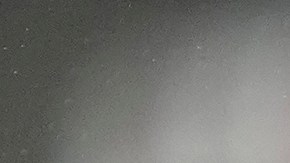 Ronald Acuña Jr hizo historia en Grandes Ligas, pero sus hijos se convirtieron en los verdaderos protagonista [Video]