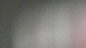 Ronald Acuña Jr hizo historia en Grandes Ligas, pero sus hijos se convirtieron en los verdaderos protagonista [Video]