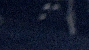 Steelers celebran una intercepción durante el encuentro ante Raiders.