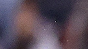 Carlos Vela abandona el terreno de juego luego de un encuentro frente a Philadelphia Union.