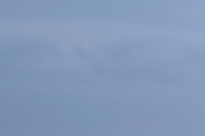 El árbol, que aparentemente fue talado durante la noche, fue uno de los más fotografiados del Reino Unido y apareció en la película de Kevin Costner de 1991 "Robin Hood: Príncipe de los ladrones". 