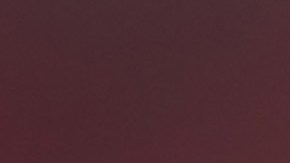 Xabi Alonso, entrenador del Bayern Leverkusen.