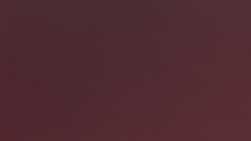 Xabi Alonso, entrenador del Bayern Leverkusen.