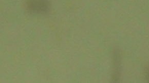 Los McNuggets de pollo picantes estarán disponibles por tiempo limitado a través en su sitio web