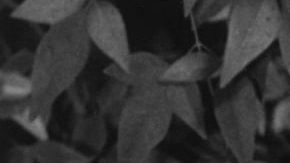 Marilyn Monroe solo fue dueña de esta propiedad durante toda su vida.