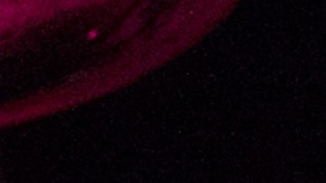 Julio Iglesias estuvo acompañado por sus familiares.