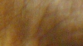 Tarjeta EBT en Illinois