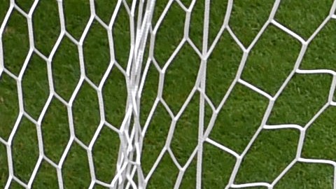 El arquero no pudo nada para evitar el golazo.