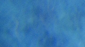 Este es el tercer ataque de un tiburón en la plata New Smyrna en Florida.