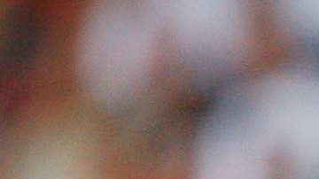 El exjugador de Ecuador promociona ahora un club nocturno en su país.