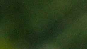 La nutria de río atacó en un par de ocasiones.