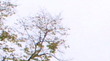 White House Awaits New Resident