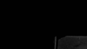 Las pinturas desaparecieron durante la Segunda Guerra Mundial.