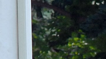 Media Camps Out At Senator Joe Biden's Home