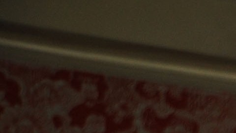 Danny Masterson y Bijou Phillips.