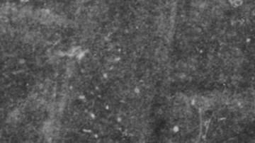 Ahora extinto, Tigre de Tasmania en el Zoo de Hobart Tasmania, en Australia (1933).