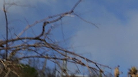 Huracán Irma en las Islas Vírgenes