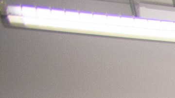 Entre 2019 y 2021, la matriculación de estudiantes latinos en las universidades estadounidenses cayó un 7 %.