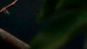 Autoridad de Energía Eléctrica