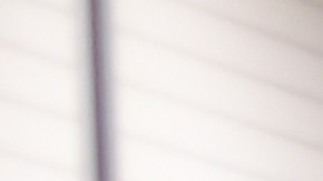 Azafata de American Airlines