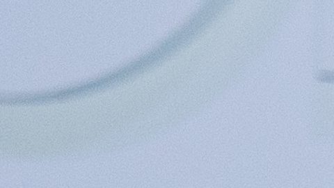 Trevor Noah tiene varias propiedades en Estados Unidos.