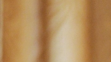 Visiting Iranian President Mahmoud Ahmad