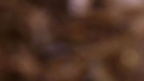 Hay fuentes excelentes de fibra menos conocidas, como los exoesqueletos de los crustáceos y los insectos