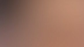 En la imagen aparecen Sofía Vergara y su ex esposo el actor Joe Manganiello.