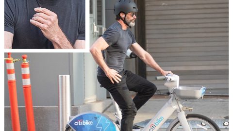 Hugh Jackman es ahora un hombre soltero.