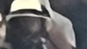 Momentos de tensión se vivieron en la semifinal tras la protesta de varios ambientalistas.